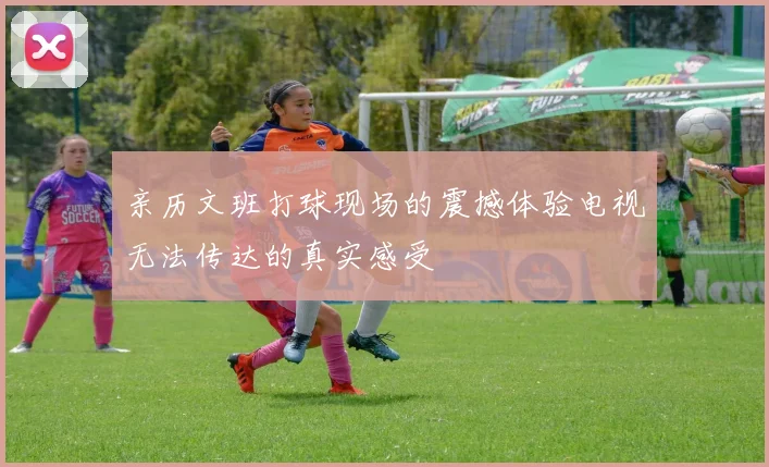 亲历文班打球现场的震撼体验电视无法传达的真实感受