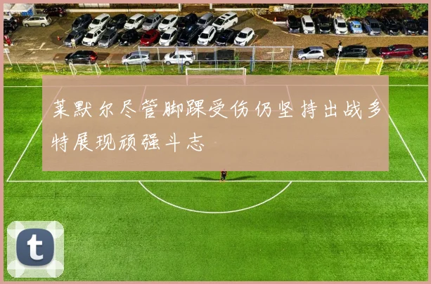 莱默尔尽管脚踝受伤仍坚持出战多特展现顽强斗志
