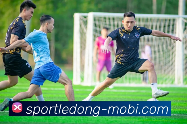 乐动体育发展历程