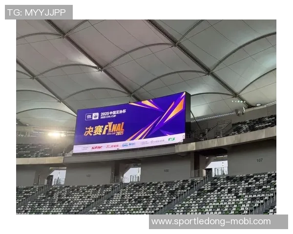 足协杯决赛即将开启河南球迷提前聚集点燃奥体激情氛围